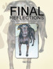 Final Reflections