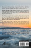 Heavenly Messages From Above