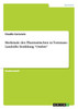 Merkmale des Phantastischen in Tommaso Landolfis Erzählung "Ombre"