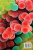 Computing Search Engines for Biological Macromolecules