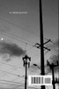 101 Portland Moons