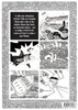 The Amazing Adventures of Wicked Willy &amp; Fearless Steve