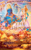 Journey to the Vishnu