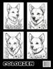 Barks and Blossoms