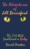 The Adventures of Jill Berrisford