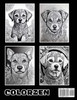 Labrador Dreamscape Mandalas