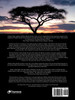 Shattered Dreams at Kilimanjaro