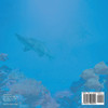 How Do Predators Find Their Prey? Biology for Kids | Children's Biology Books