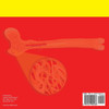 Are Bones Bendy? Biology for Kids | Children's Biology Books