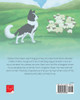 Ben the Border Collie