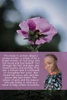 From Hurt, Healing to Hope