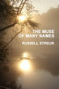 The Muse of Many Names