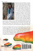 The Rainbow Experience