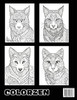 Animal Aura Mandalas