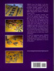 DBMM Army Lists Book 1