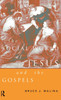 The Social World of Jesus and the Gospels