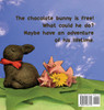 The Adventures of a Chocolate Bunny