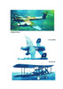 Kites, Birds & Stuff  -  WESTLAND Aircraft