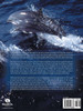 Our Inner Ocean