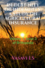 IN-DEBT-NITY OR INDEMNITY