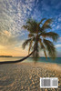 American Beaches