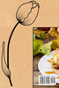 GOLO GASTRONOMY