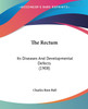 The Rectum