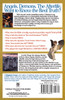 1,001 Things You Always Wanted to Know about Angels, Demons, and the Afterlife