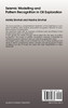 Seismic Modelling and Pattern Recognition in Oil Exploration
