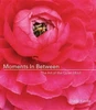 Moments in Between