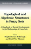 Topological and Algebraic Structures in Fuzzy Sets