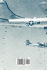 Strategic Air Warfare