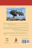 Walking Palestine