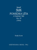 Pohadka Leta (A Summer Tale), Op.29