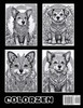 Paws and Patterns