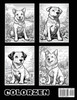 Furry Friends Fiesta
