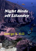 Night Birds off Lifandoy