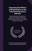 Examining the Effects of Megamergers in the Telecommunications Industry