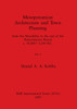 Mesopotamian Architecture and Town Planning, Part ii