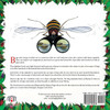 The Bug Alphabet Book of Rhymes & Verse