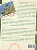 Puffins Off the Beaten Path