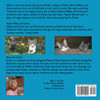 The Kittens and The Easter Bunny