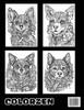 Paws & Patterns