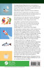 The Ecology of Everyday Things