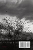 Flying Away