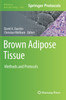 Brown Adipose Tissue
