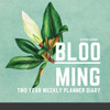 Blooming