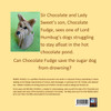 Chocolate Fudge Saves the Sugar Dog
