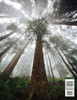 The Wayfarer Magazine