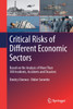 Critical Risks of Different Economic Sectors